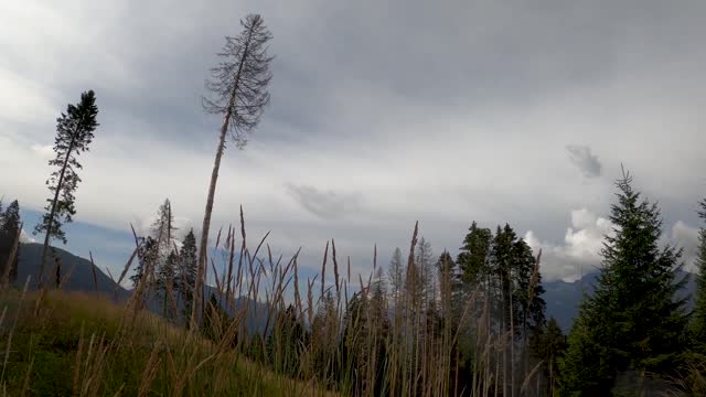 Mountain Ambience Feel the ambience 3D Relaxing Nature Sounds No Copyright Sounds