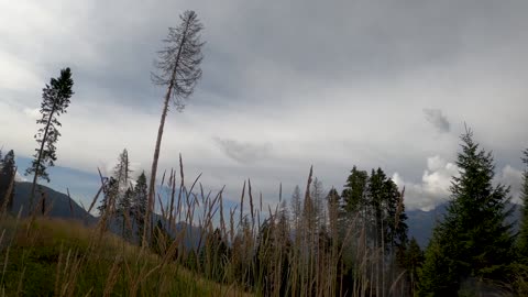 Mountain Ambience Feel the ambience 3D Relaxing Nature Sounds No Copyright Sounds