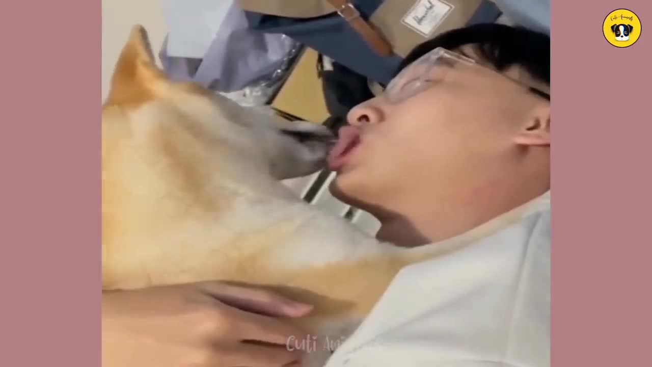 Dog kissing boy