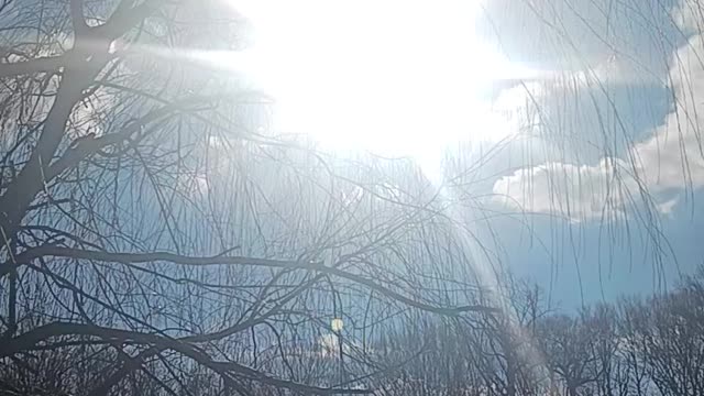 Oakland lake