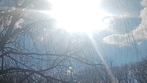Oakland lake