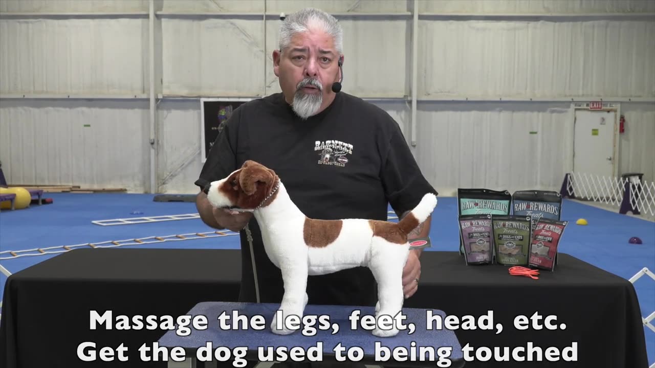 Dog Training