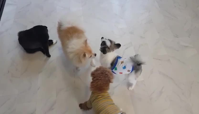 When you meet a friend you like...