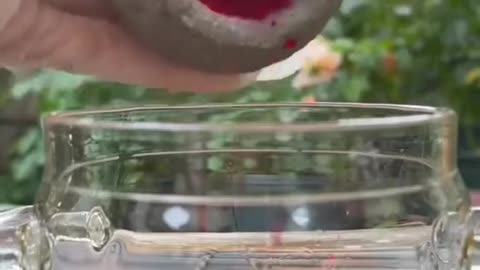 Making Red Lipstick from Cochineal