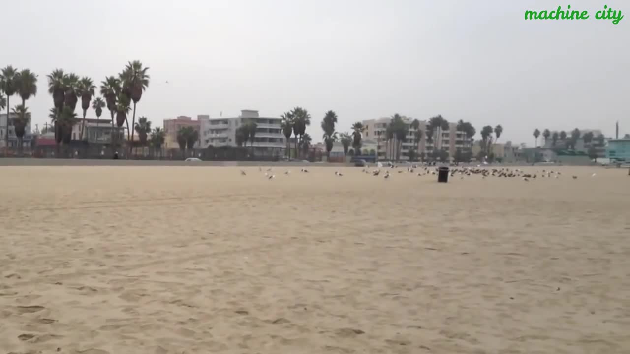 Best Beach Cleaning Machines And Advance Cleanup Equipment Compilation 2021