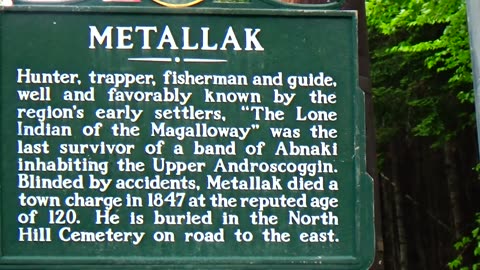 Metallak