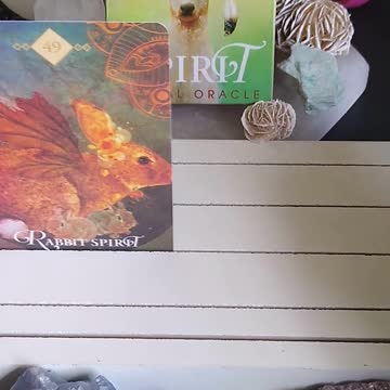 What Spirit Animals Are With You Today? #shorts