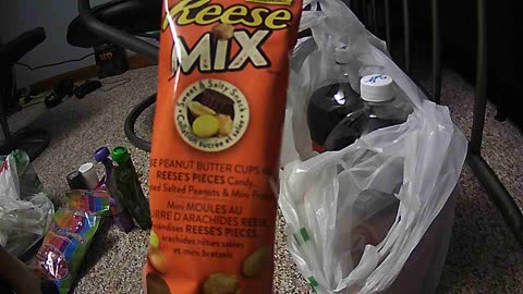 Dollar Tree Run