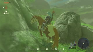 The Legend of Zelda: Tears of the Kingdom PART 007