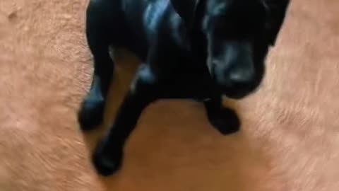 AWE