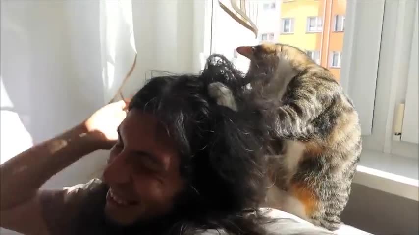 Cat Mess with Long Hair