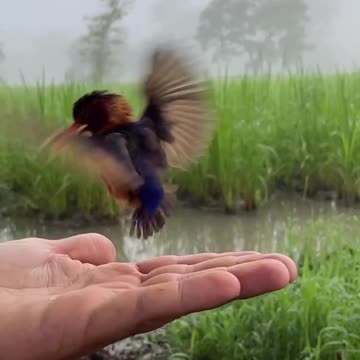 Creature of heaven 😍