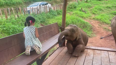 Cute baby feeding baby elephant 🐘