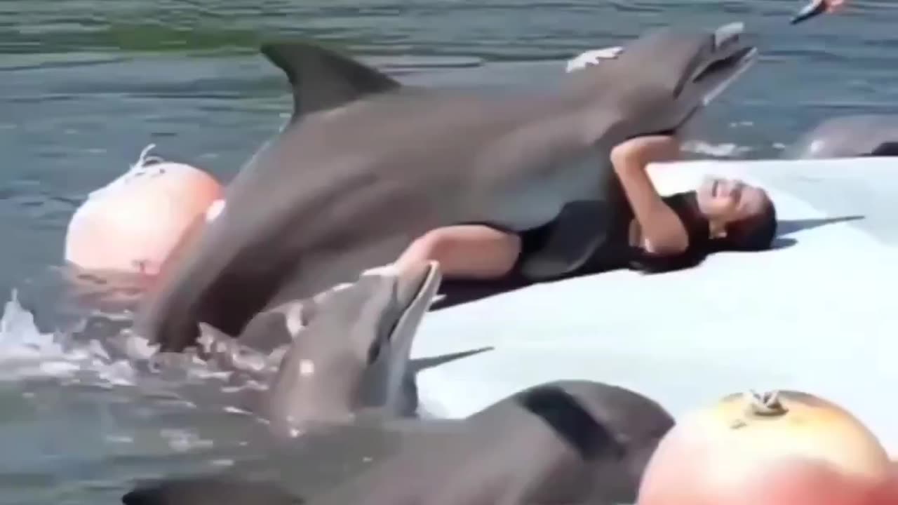 Dolphin was feeling frisky 🤣😳