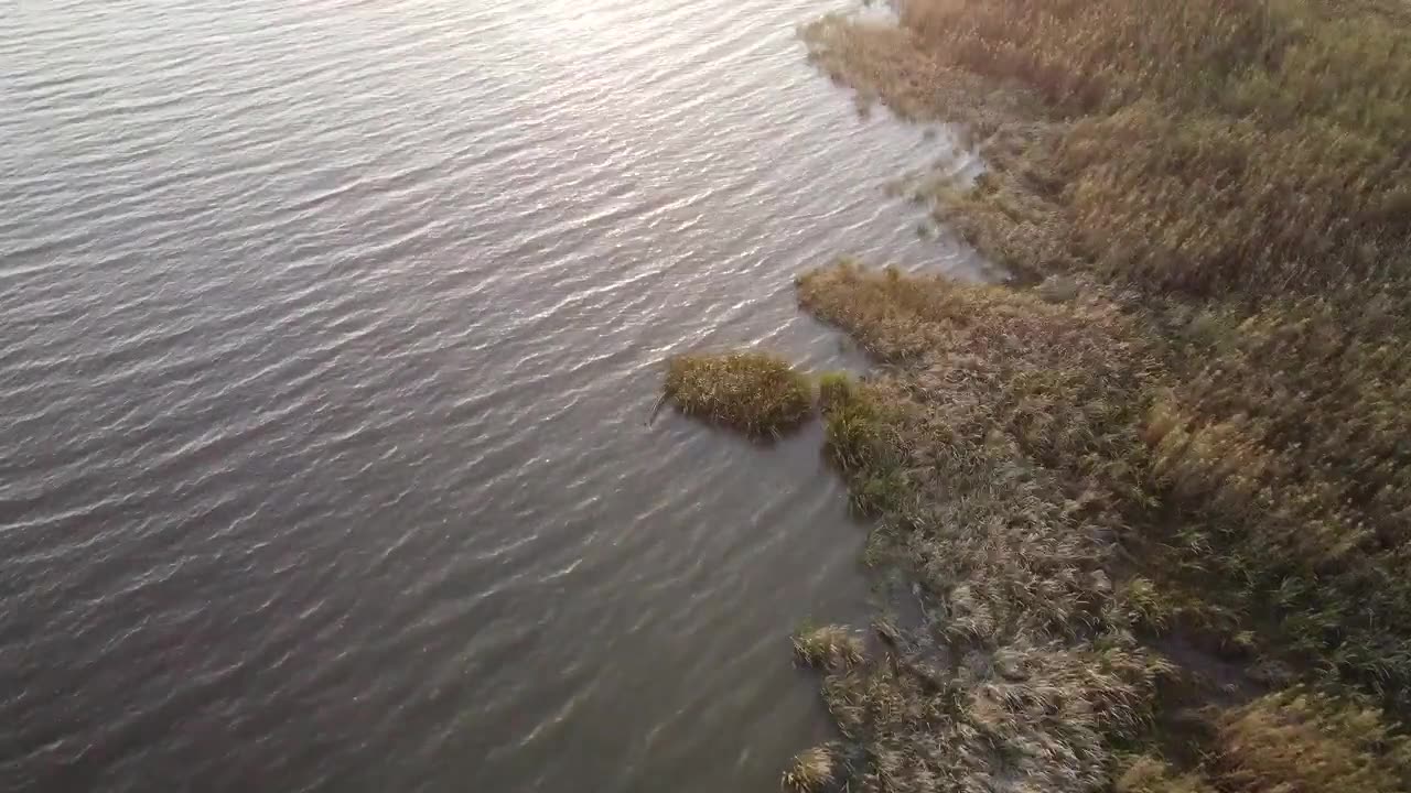 The Ukranian ships are destroying the Danube Delta, info in the comment section