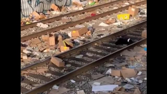 Los Angeles Train Yards Ransacked