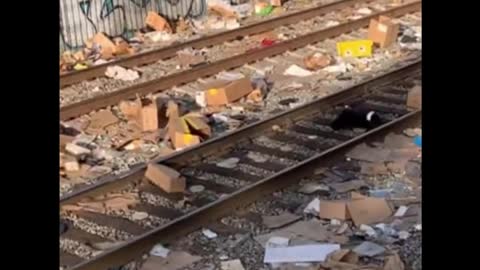 Los Angeles Train Yards Ransacked