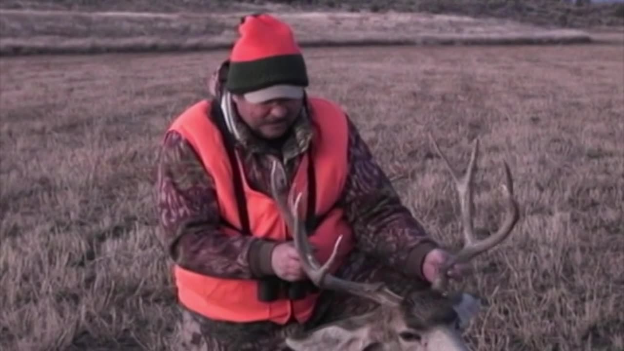 Long Range Mule Deer Hunt