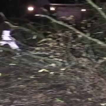 Severe weather with heavy hail, and reports of tornadoes ripped through the Chicago area Tuesday