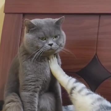 She tells him you Don't have to do it today 🙈