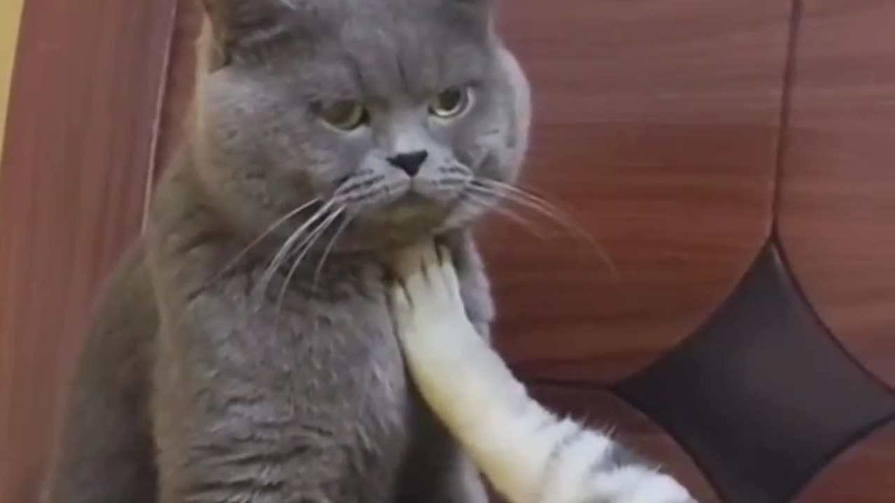 She tells him you Don't have to do it today 🙈