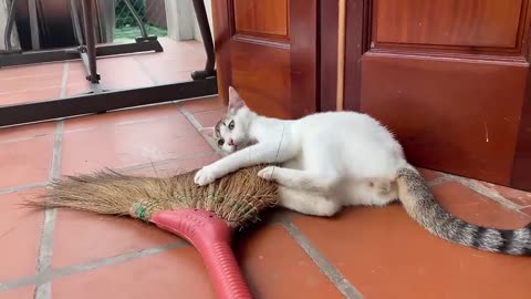 Please watch this video and enjoy your
