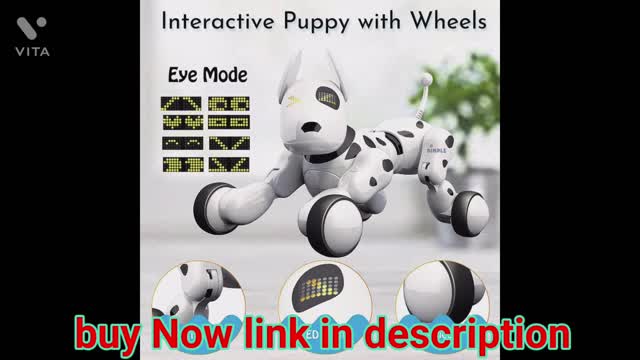 Interactive puppy with wheel