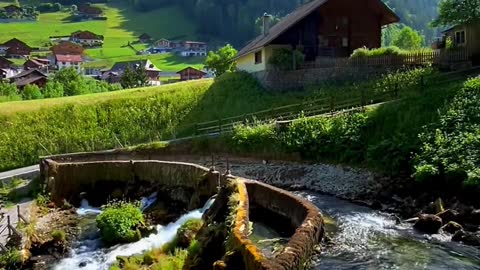 Beauty of nature 🌱 📍Gruyères Region