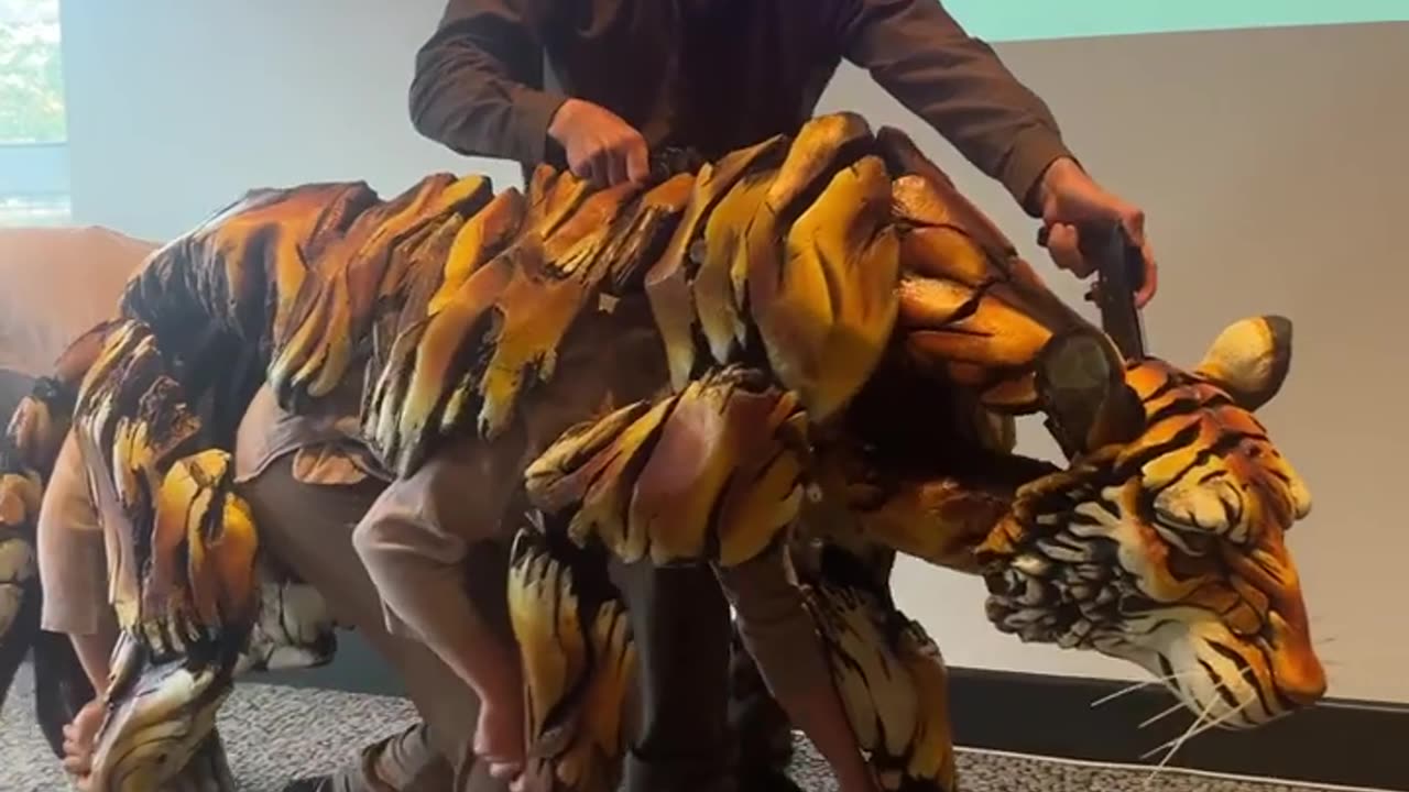 New Real Tigers🐯 Viral video