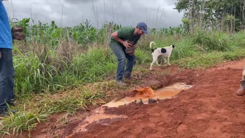 Farm life in Brazil