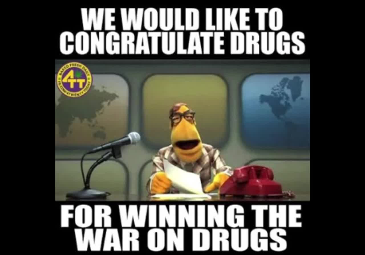 Random Memes 24