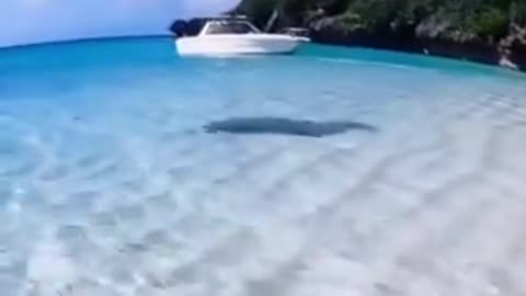 Maldives are amazing! Have you ever been there?