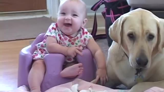 The small owner and the dog, a warm family scene