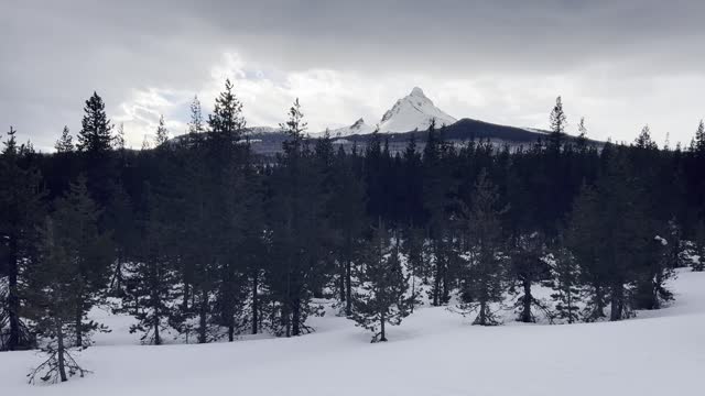 Descending STEEP Butte & Arriving at Brandenberg Shelter! – Ray Benson Sno-Park – Central Oregon – 4K