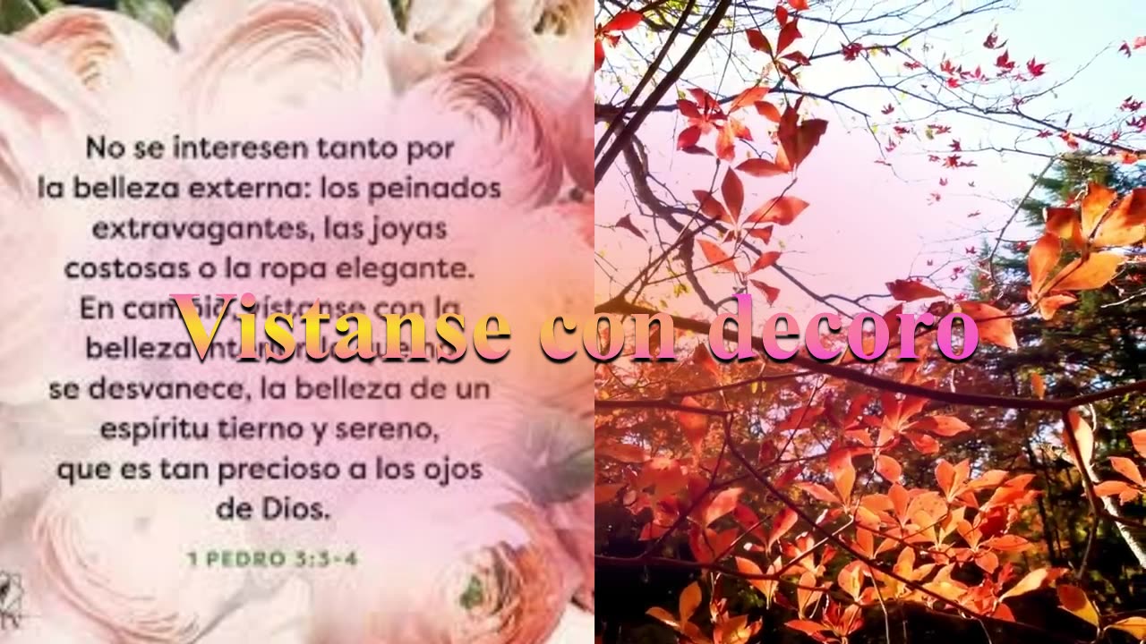 1 Pedro 3:4-5 Vistanse con decoro_Devocional.