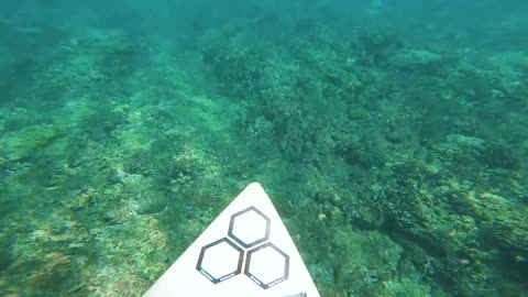 POV SURF - LIQUID PERFECTION-4