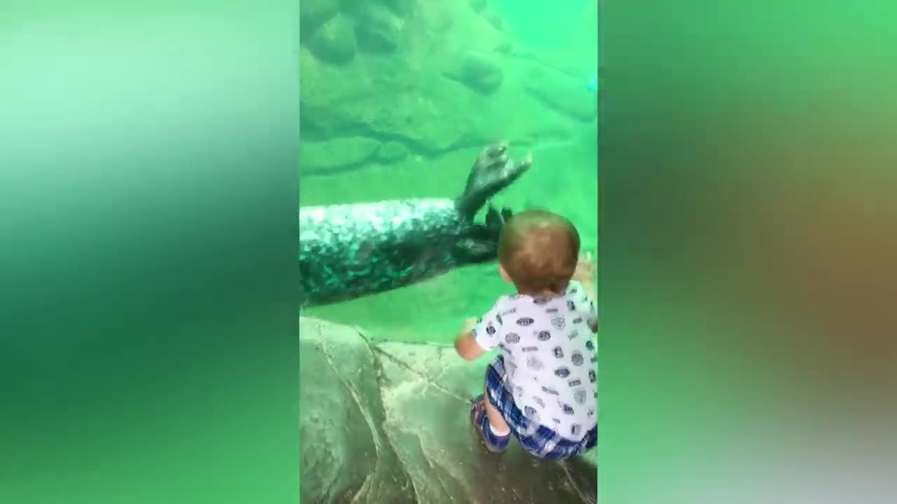 Funny Baby at the Aquarium | TRY NOT TO LAUGH