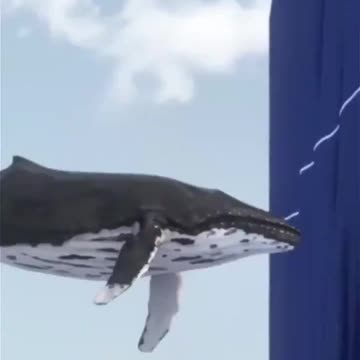 Holographic whales in Dubai