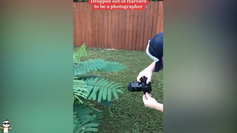 funny random videos