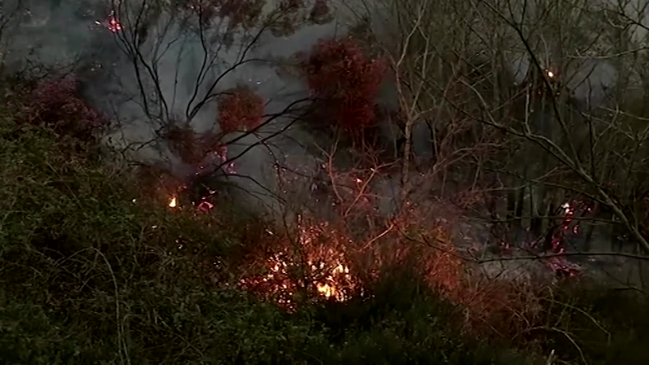 Over 100 wildfires rage across northern Spain