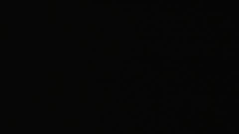 2923RHOBGRXrayLowerIndep_2021-01-05_04h40min02s167ms.mp4