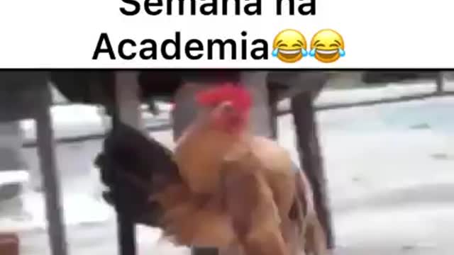 FUNNY VIDEOS TRY IT DOUBT NOT LAUGH️ |😂 #6