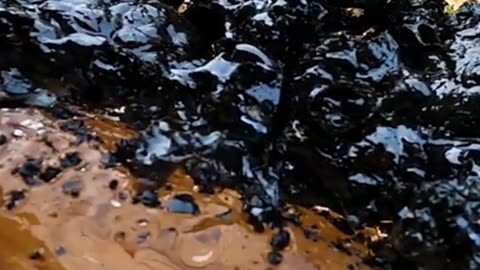 experiment ice cube vs hot lava