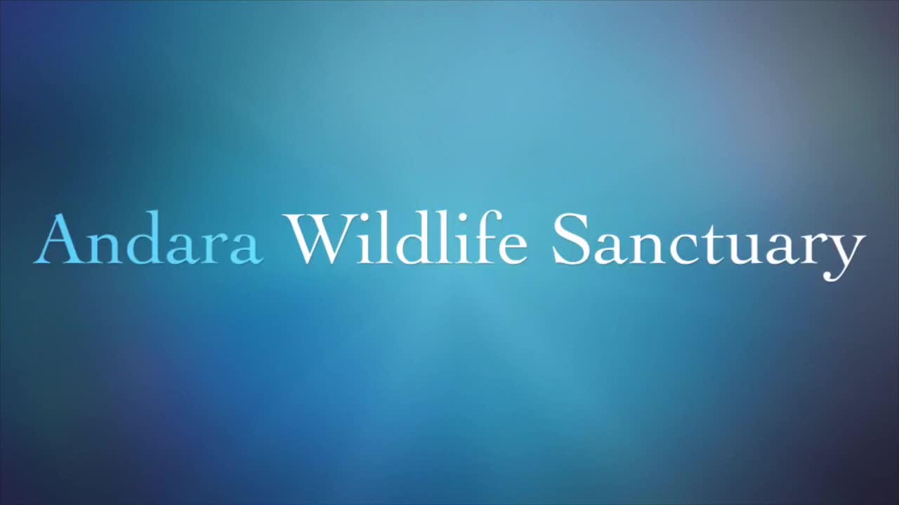 Welcome To Andara Wildlife Sanctuary!