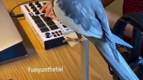 Enjoy with this animal moments, funny and cute interactions