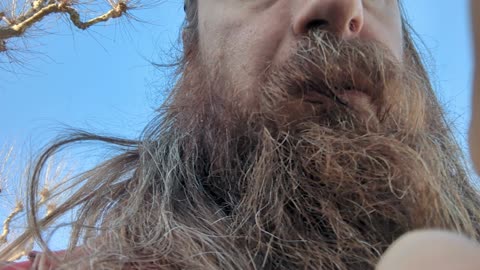 2023-02-19 (1) - test - Twitch Meutemediatique