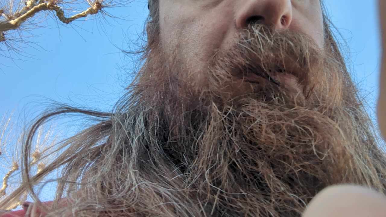 2023-02-19 (1) - test - Twitch Meutemediatique