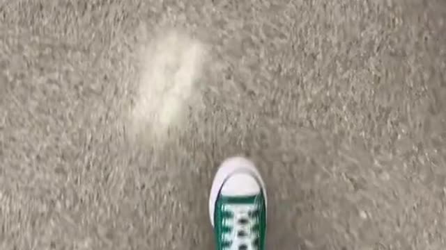 aquickvlogfromthepastfewdays)