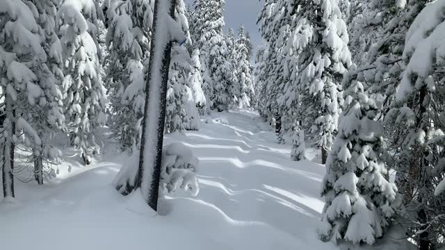 Snow Globe Hiking – Central Oregon – Vista Butte Sno-Park – 4K