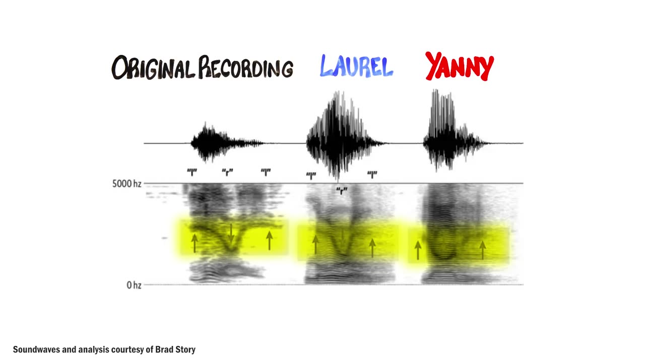 Do You Hear Yanny or Laurel (SOLVED with SCIENCE)